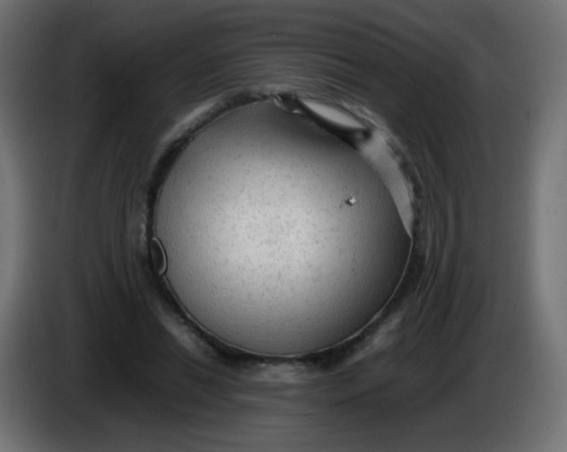 X0000086060446200704132022