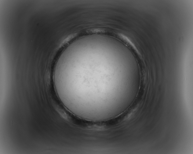 X0000086060447200704132022