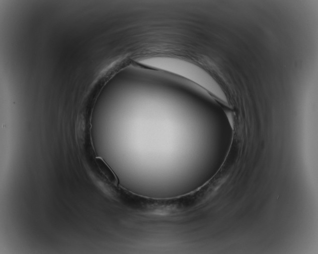 X0000086060448200704132022