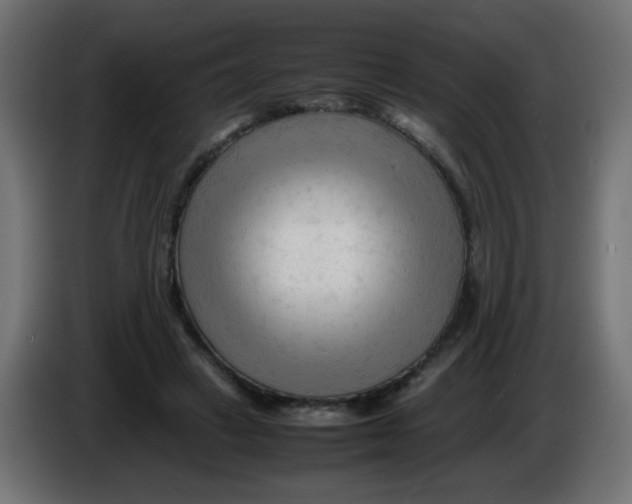 X0000086060449200704132022