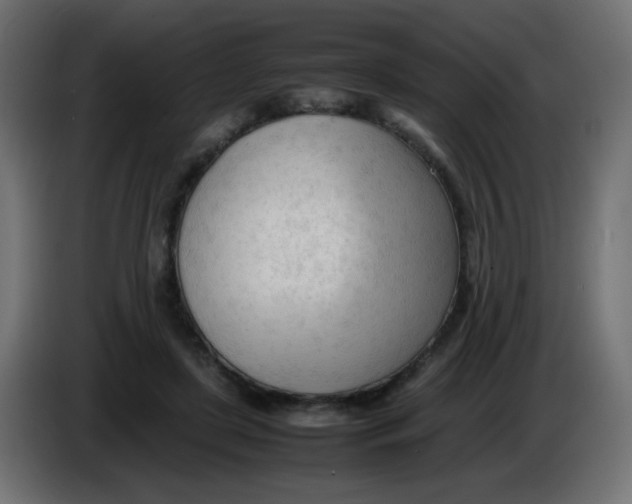 X0000086060451200704132022