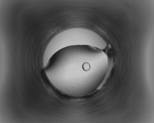 X0000086060452200704132022