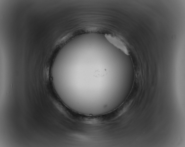 X0000086060454200704132022