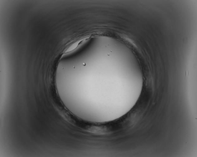 X0000086060455200704132022