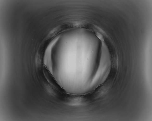 X0000086060456200704132022