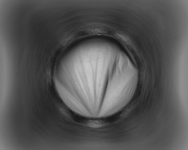 X0000086060457200704132022