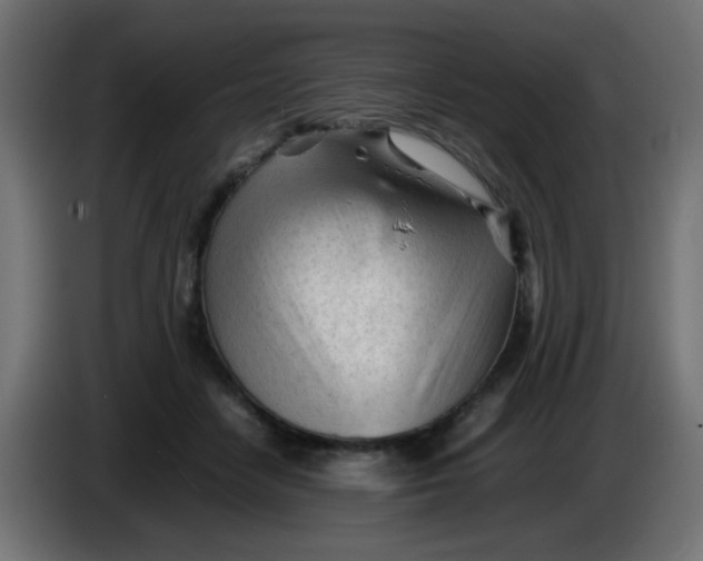 X0000086060458200704132022