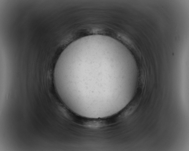 X0000086060461200704132022