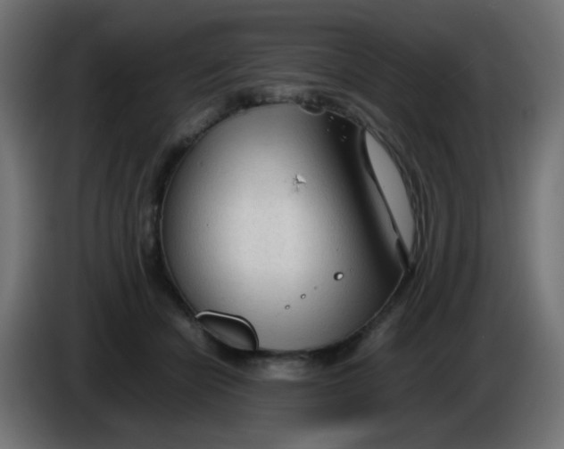 X0000086060462200704132022