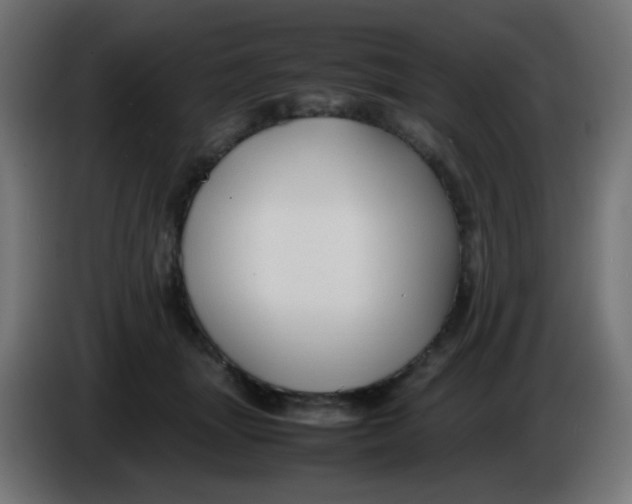 X0000086060463200704132022