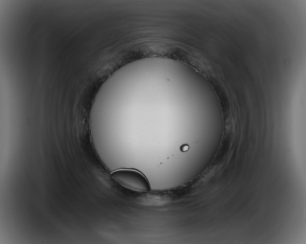 X0000086060464200704132022