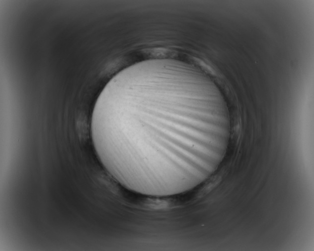 X0000086060469200704132022