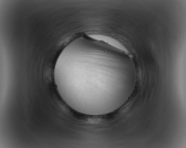 X0000086060470200704132022