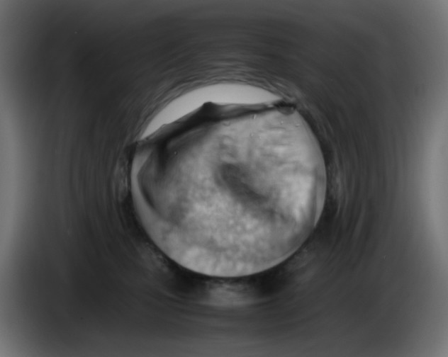 X0000086060471200704132022