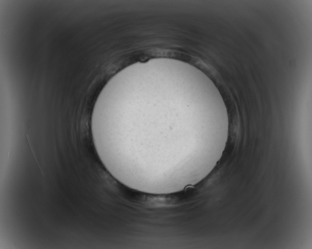 X0000086060473200704132022