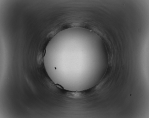 X0000086060478200704132022