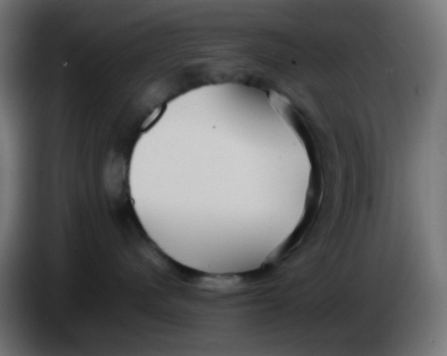 X0000086060480200704132022