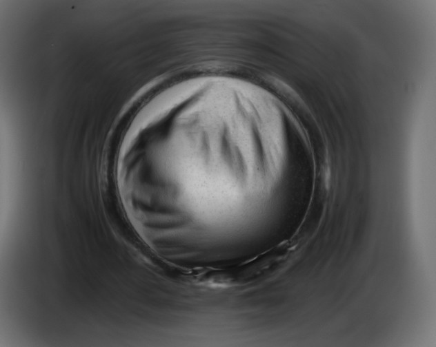 X0000086060484200704132021