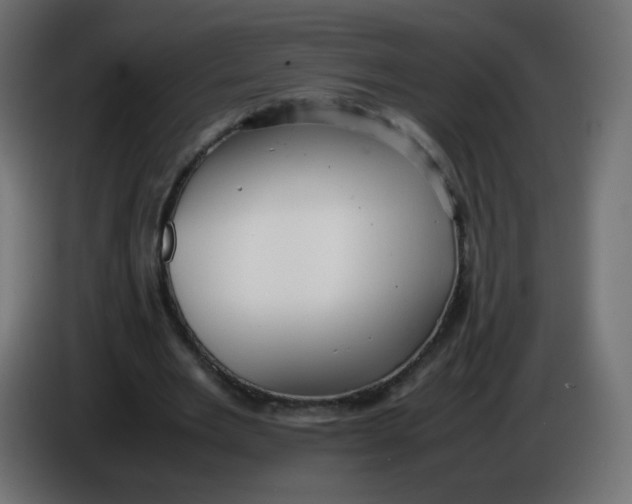 X0000086060485200704132021