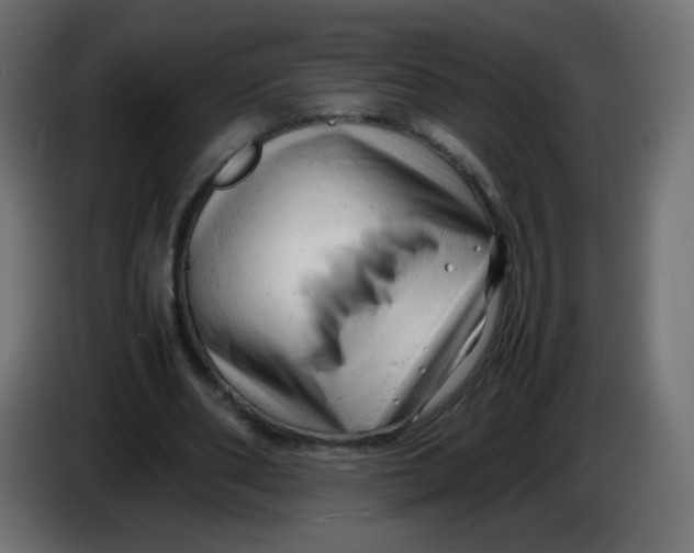 X0000086060486200704132021