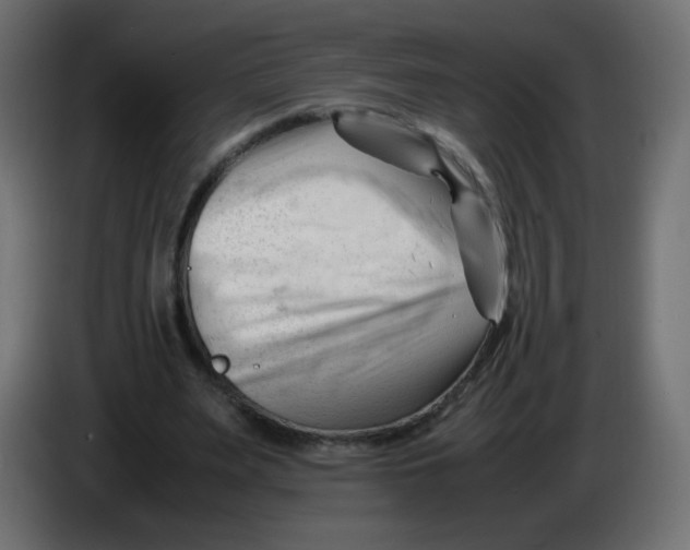 X0000086060487200704132021