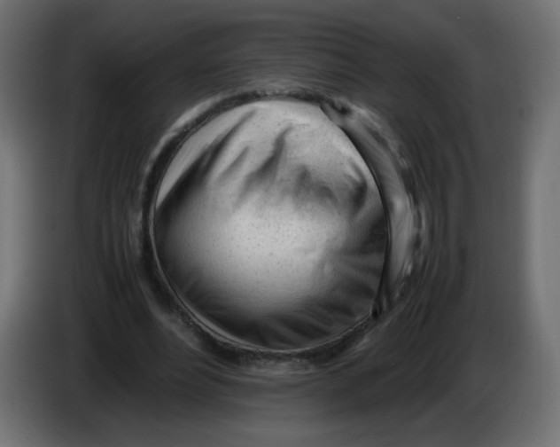 X0000086060488200704132021