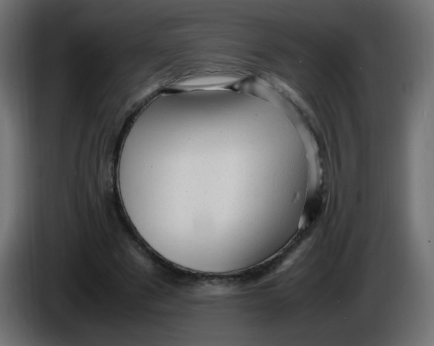 X0000086060489200704132021