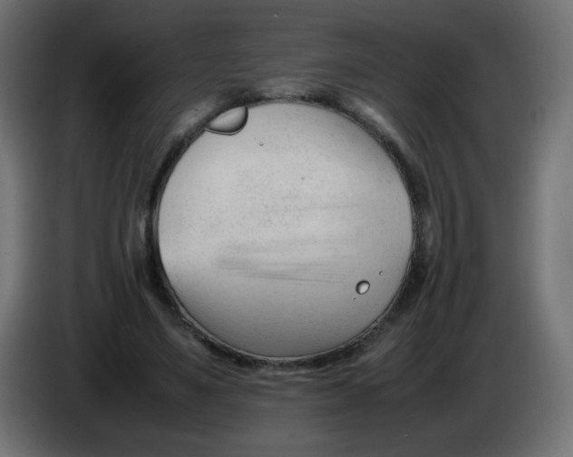 X0000086060491200704132021