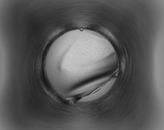 X0000086060492200704132021