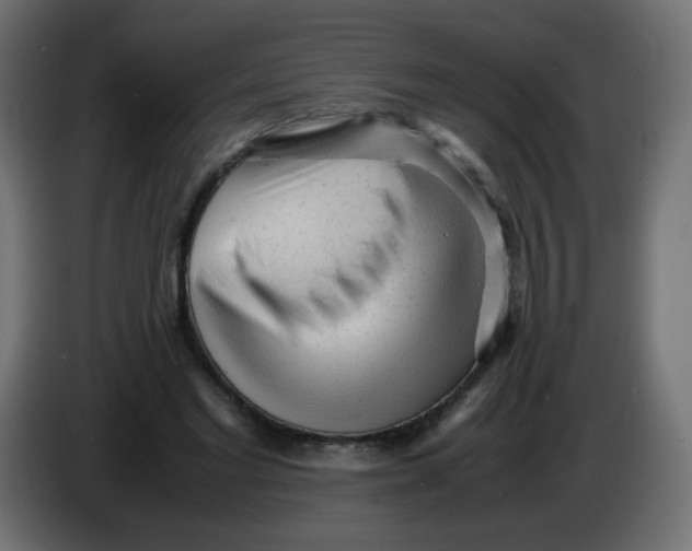 X0000086060493200704132021