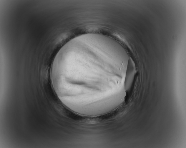 X0000086060495200704132021