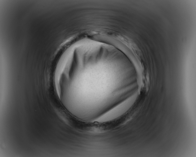 X0000086060496200704132021