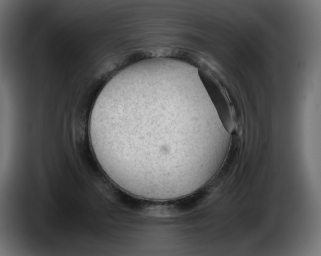 X0000086060499200704132021