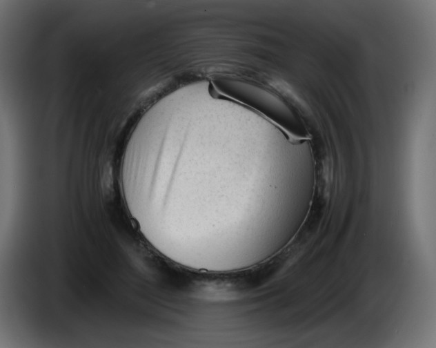 X0000086060500200704132021