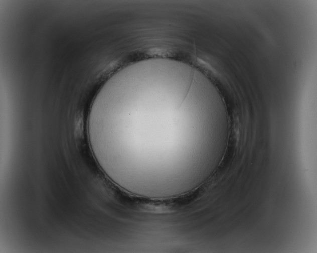 X0000086060502200704132021