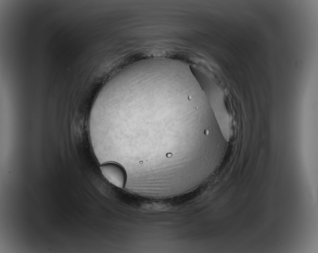 X0000086060503200704132021