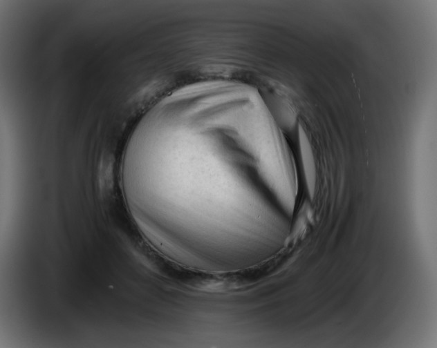 X0000086060504200704132021