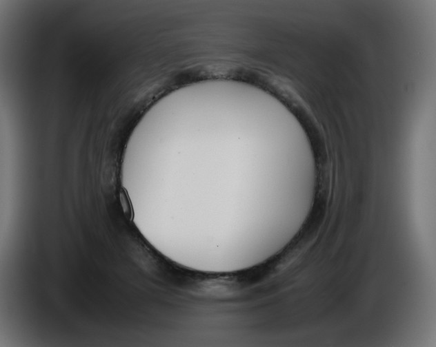 X0000086060505200704132021