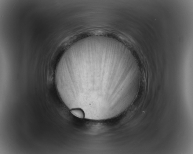 X0000086060507200704132021