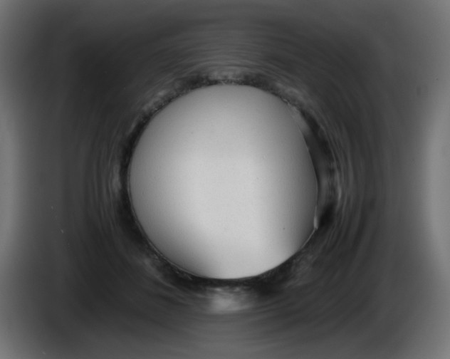 X0000086060508200704132021