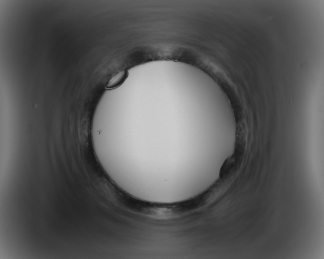 X0000086060509200704132021