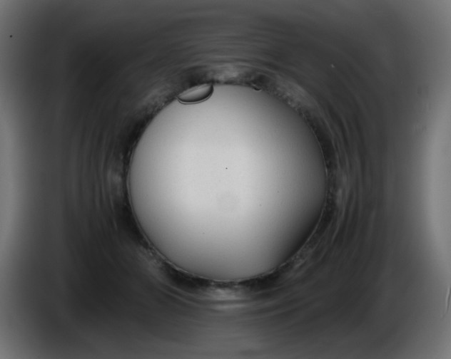 X0000086060510200704132021