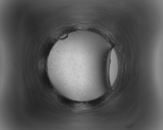 X0000086060511200704132021