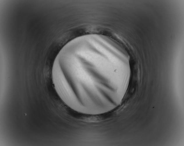 X0000086060513200704132021