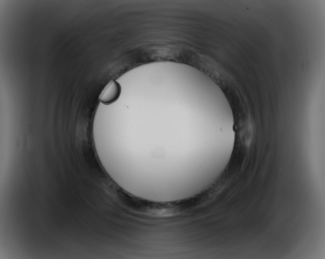 X0000086060514200704132021