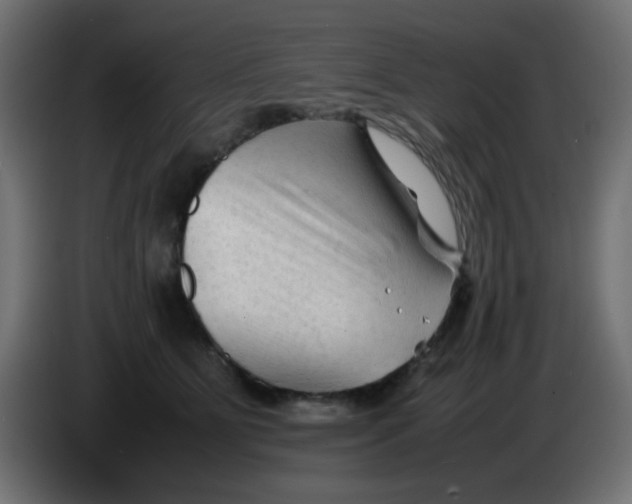 X0000086060515200704132021