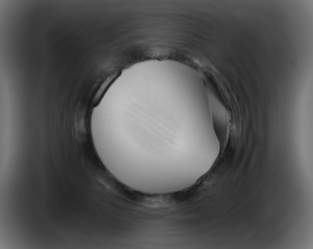 X0000086060516200704132021