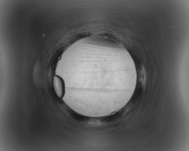 X0000086060519200704132021