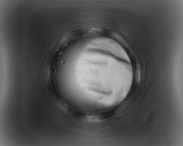 X0000086060520200704132021