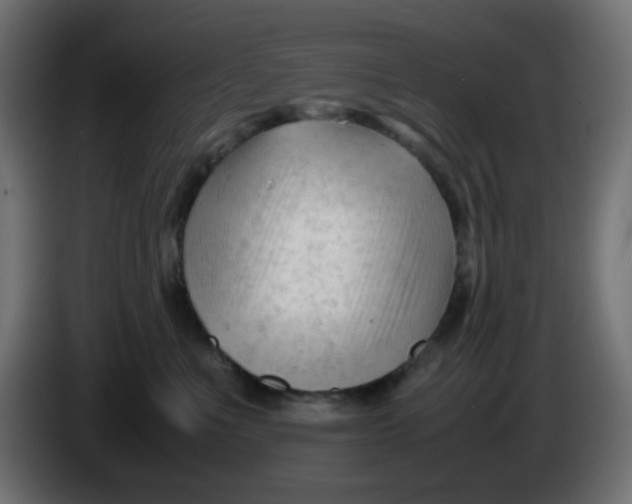 X0000086060523200704132021